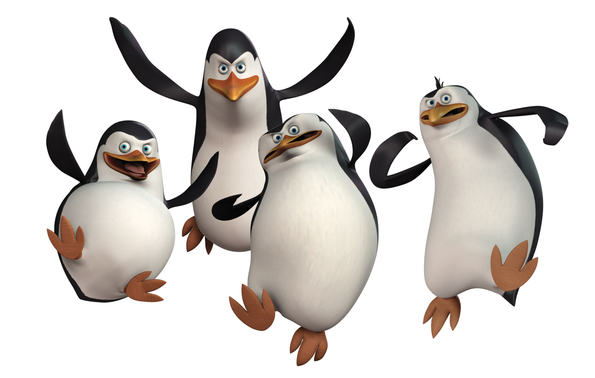 複数のマダガスカルペンギン